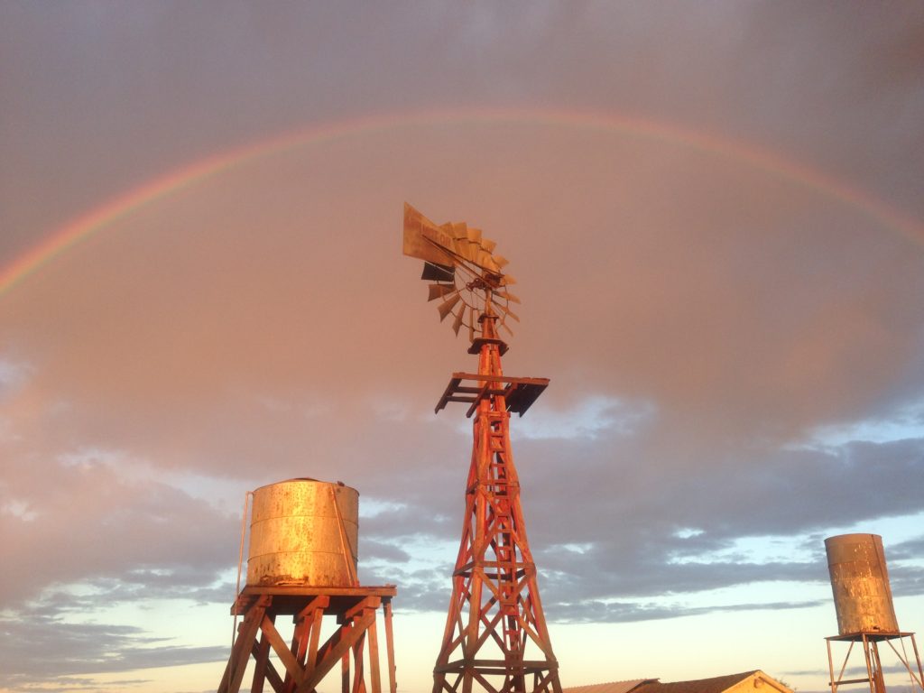 Water Well with Windmill - Texas Landowners Association - LandAssociation.org