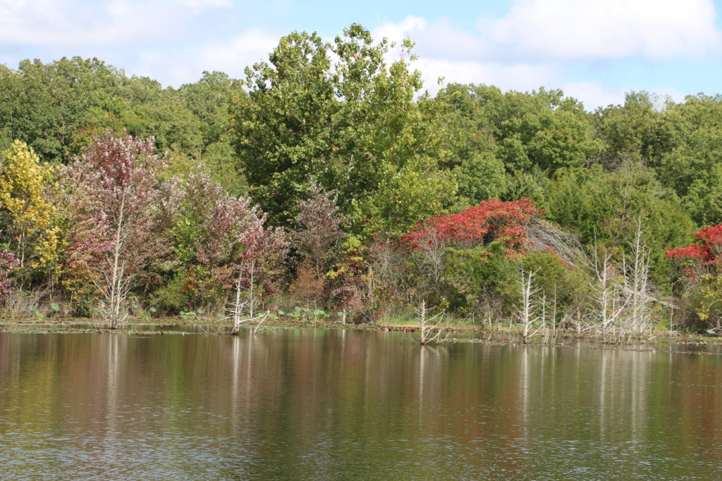 Private Lake in Texas - Pond Management - Texas Landowners Association
