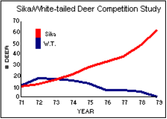 White-Tailed Deer in Competition with Sika Deer in Texas, TPWD
