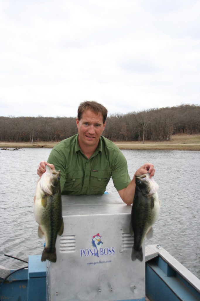 Feeding Largemouth bass from a feeder