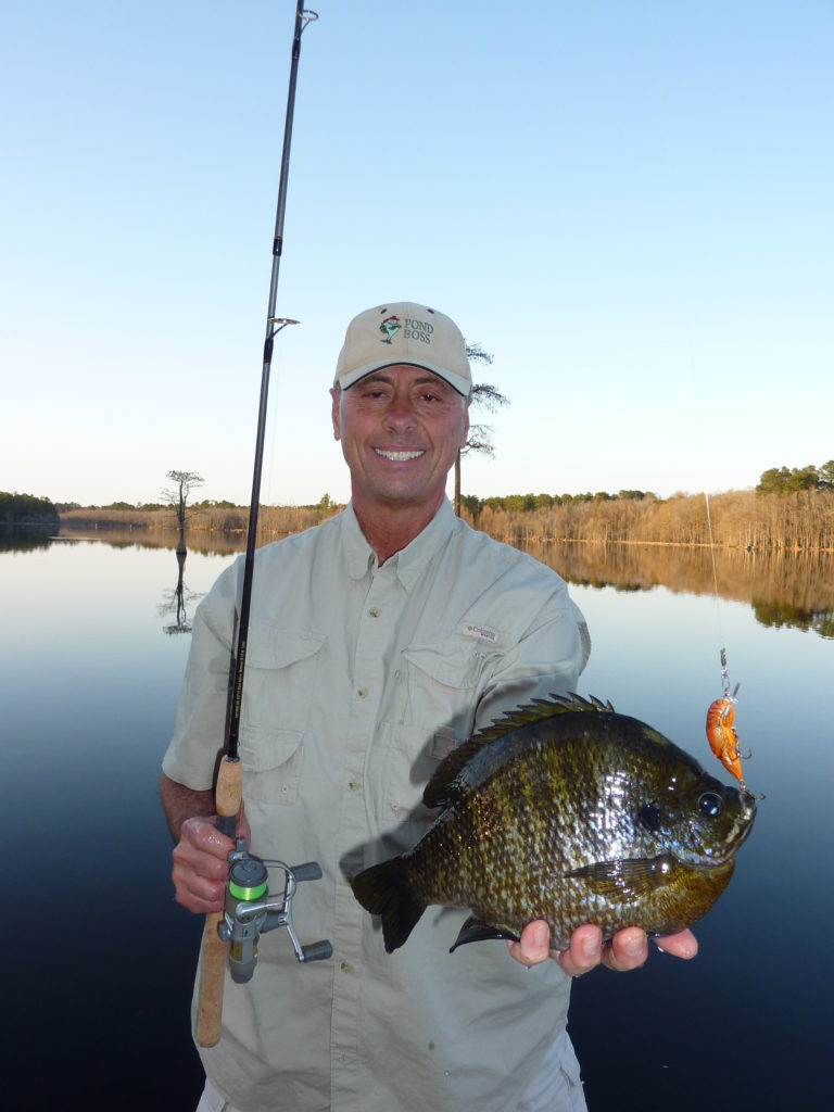 Huge Bluegill on a private pond