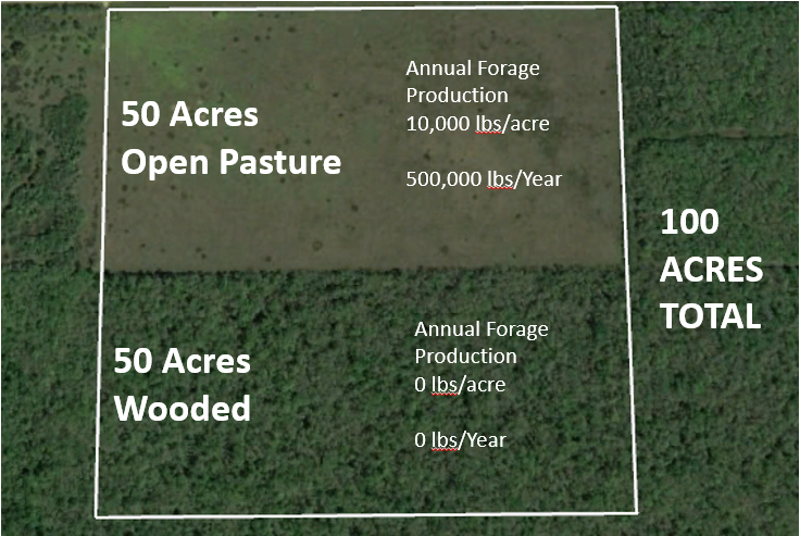 How Many Cows Per Acre In Texas Texas Landowners Association