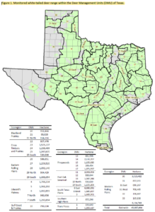 How many deer are in Texas? White-tailed deer populations listed by ...