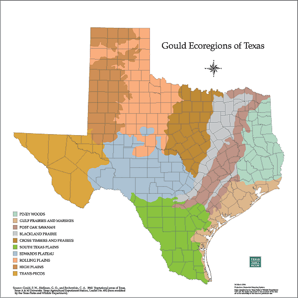 Where are the BIGGEST DEER in Texas? - Texas Landowners Association