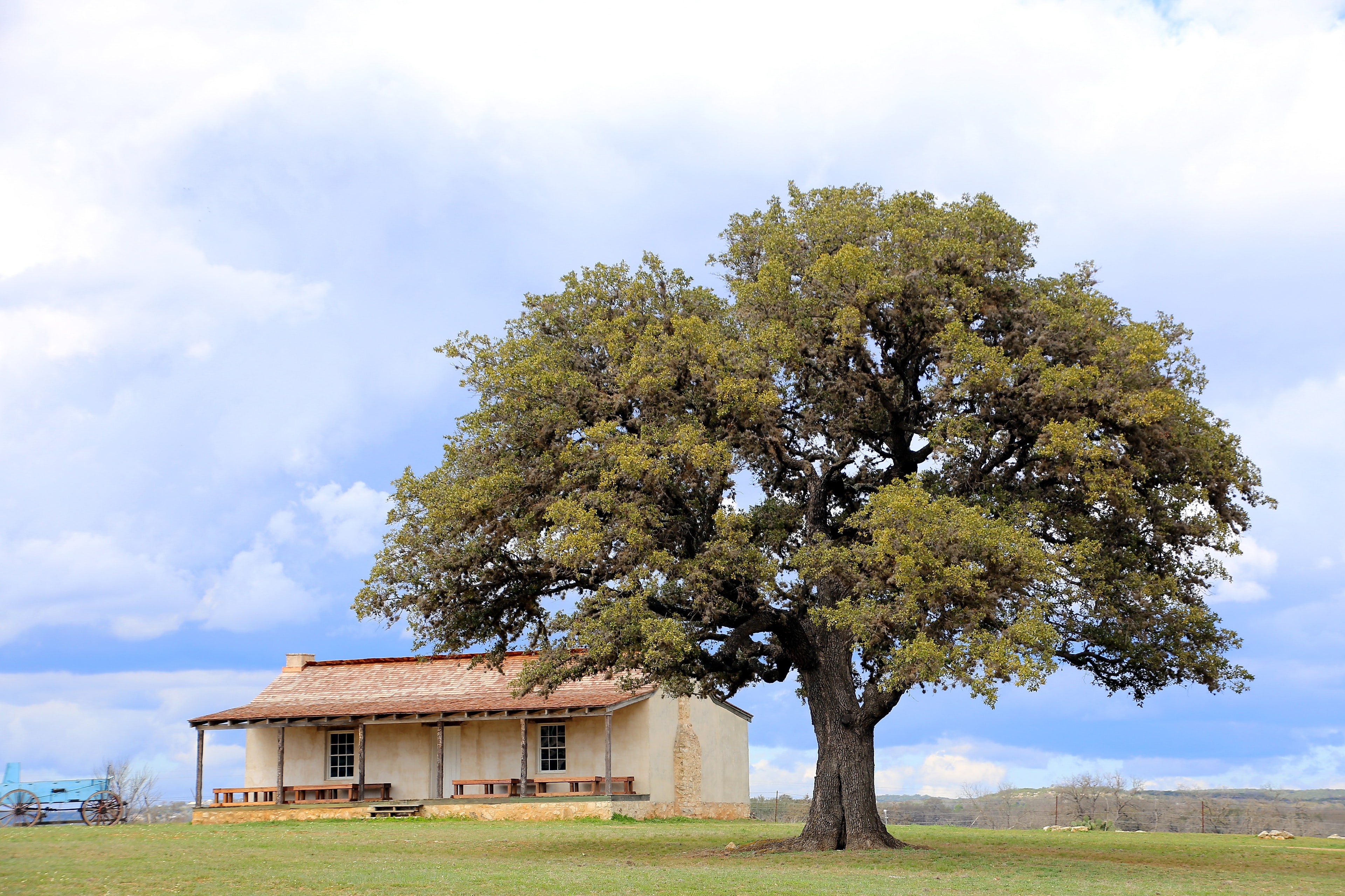 how-to-buy-land-in-texas-a-step-by-step-guide-to-purchasing-rural-land